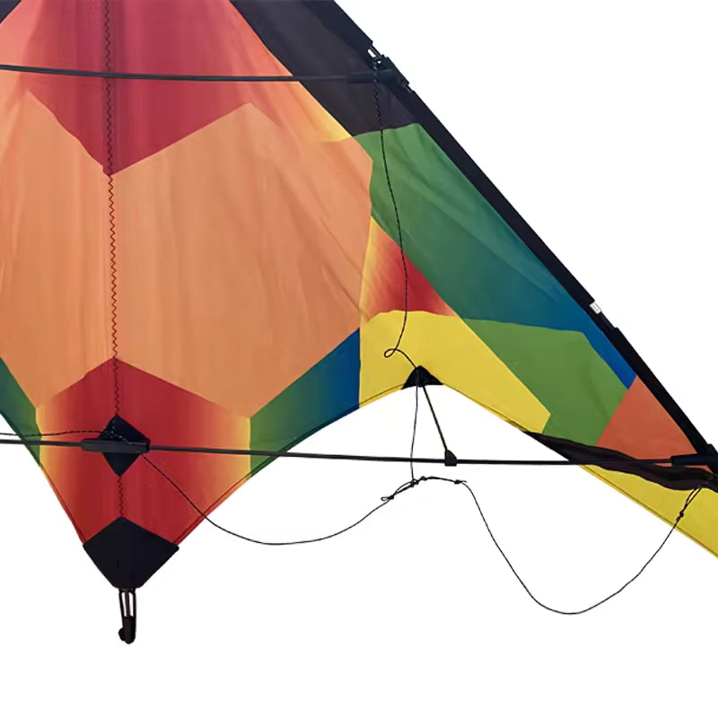 Dual Line Sport Kite