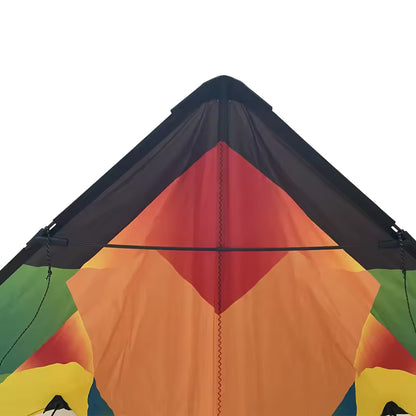 Dual Line Sport Kite