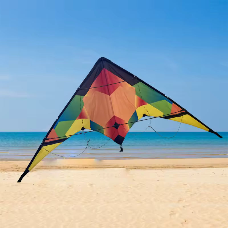 Dual Line Sport Kite