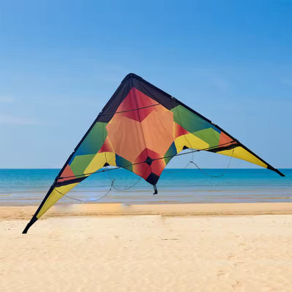 Dual Line Sport Kite